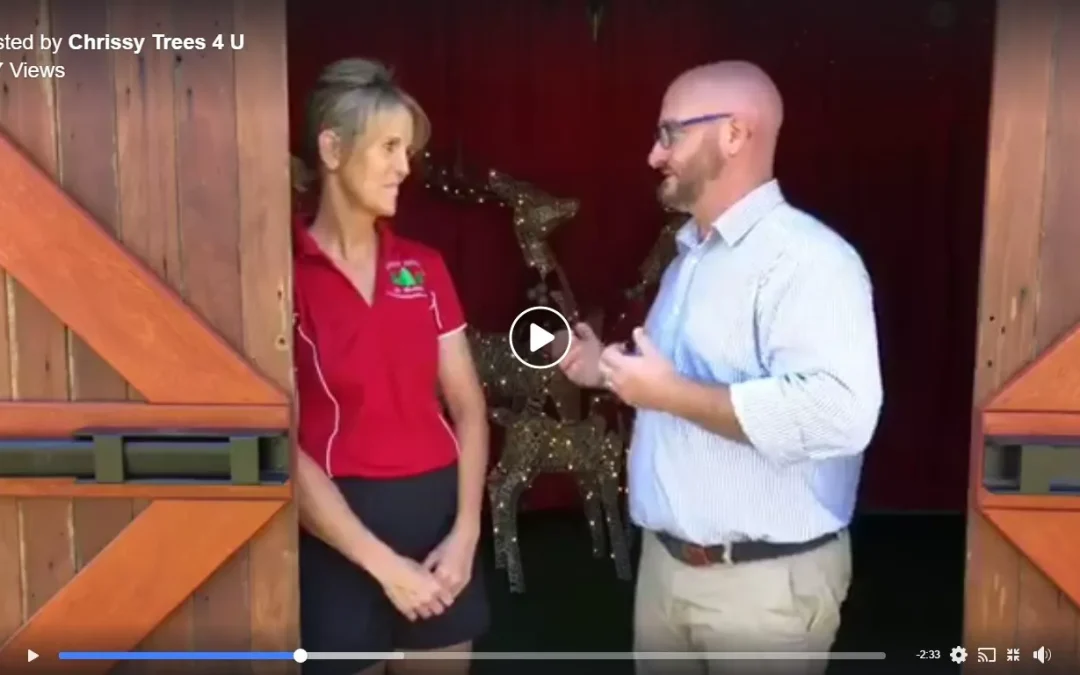 A Visit From Martoo Review