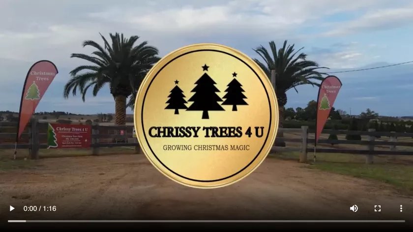 Growing Christmas Magic