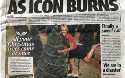 Festive Tourists Buy Real Christmas Trees