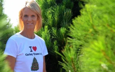 Chrissy Trees in the South Burnett Times