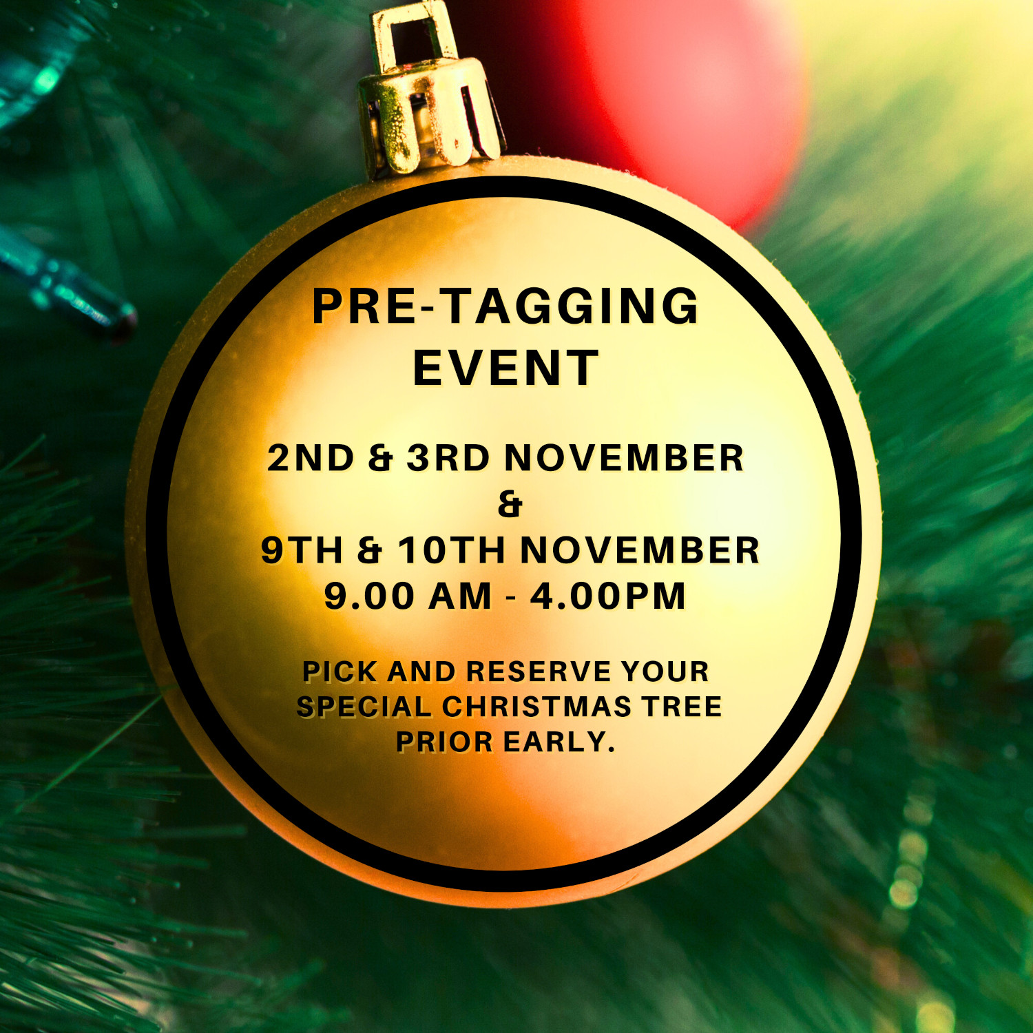 Pre Tagging Dates - Choose your tree - 2nd & 3rd Nov, 9th & 10th Nov 9am - 4pm