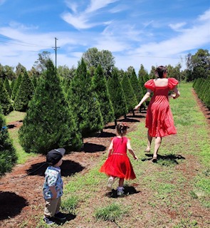 a family choosing their tree