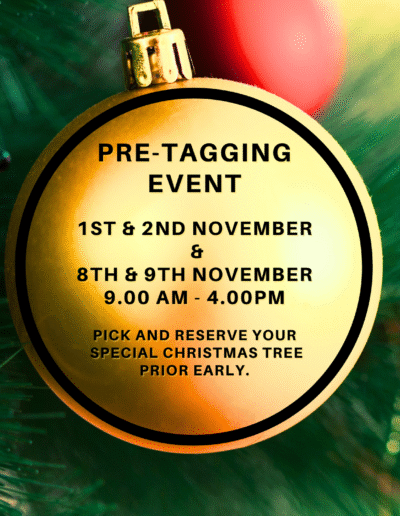 Pre Tagging Dates - Choose your tree - 1st , 2nd, 8th & 9th November Collect in December