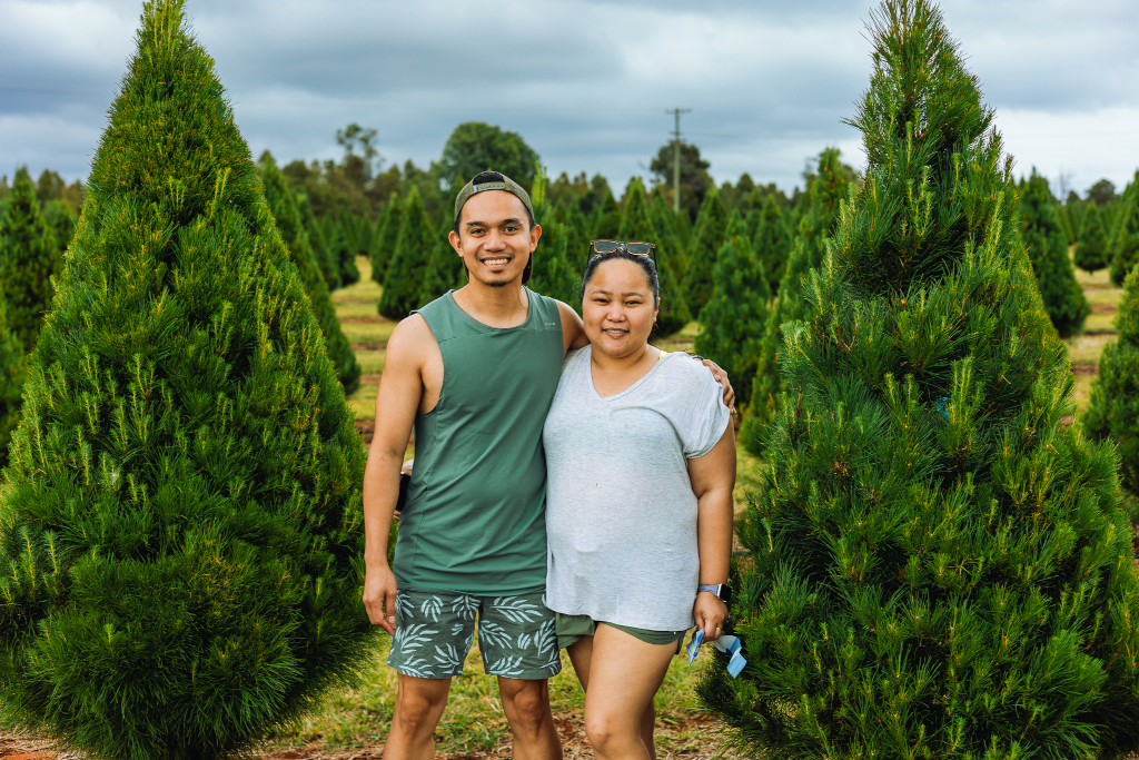 tree-tagging fun for the whole famiy
