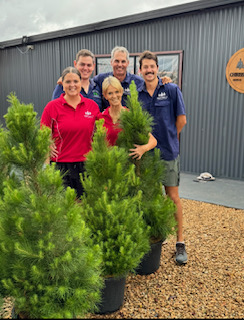 Live Christmas Tree Family